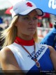 Paddock Girls - Phillip Island