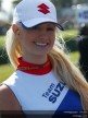 Paddock Girls - Phillip Island