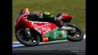 Circuit Action Shots - Phillip Island