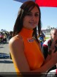 Paddock Girls - Valencia