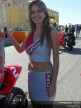 Paddock Girls - Valencia