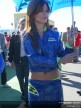 Paddock Girls - Valencia