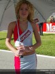 Paddock Girls - Valencia
