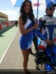Paddock Girls - Valencia