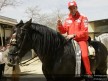 Checa and Tamada enjoy with an Equestrian Art Show