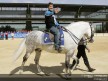 Checa and Tamada enjoy with an Equestrian Art Show