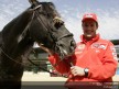 Checa and Tamada enjoy with an Equestrian Art Show