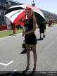 Paddock Girls - Jerez