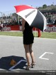 Paddock Girls - Jerez