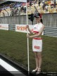 Paddock Girls - Shanghai