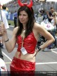 Paddock Girls - Catalunya