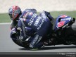 Circuit Action Shots - Losail Circuit