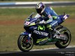 Circuit Action Shots - Phillip Island