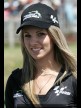 Paddock Girls - Phillip Island