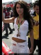 Paddock Girls - Phillip Island