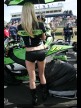 Paddock Girls - Phillip Island