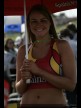 Paddock Girls - Phillip Island