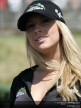 Paddock Girls - Phillip Island