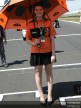 Paddock Girls - Phillip Island