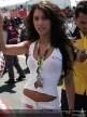 Paddock Girls - Phillip Island