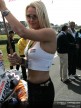 Paddock Girls - Phillip Island