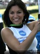 Paddock Girls - Phillip Island