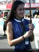 Paddock Girls - Phillip Island