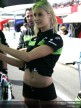 Paddock Girls - Phillip Island