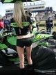 Paddock Girls - Phillip Island