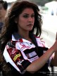 Paddock Girls - Phillip Island