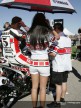Paddock Girls - Valencia