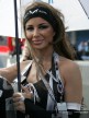 Paddock Girls - Jerez