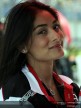 Paddock Girls - Jerez