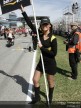 Paddock Girls - Jerez