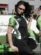 Paddock Girls - Qatar