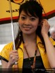 Paddock Girls - China