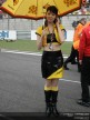 Paddock Girls - China