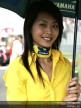 Paddock Girls - China