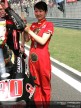 Paddock Girls - China