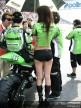 Paddock Girls - China