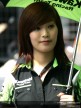 Paddock Girls - China