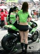 Paddock Girls - China