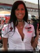 Paddock Girls - Italy