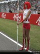 Paddock Girls - Italy