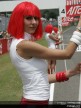 Paddock Girls - Italy
