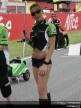 Paddock Girls - Italy