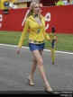 Paddock Girls - Italy