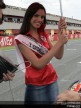 Paddock Girls - Italy