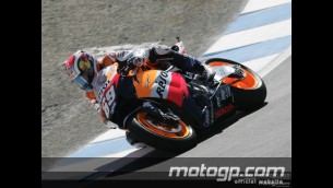 Hayden shows his colours