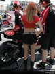 Paddock Girls - Laguna Seca